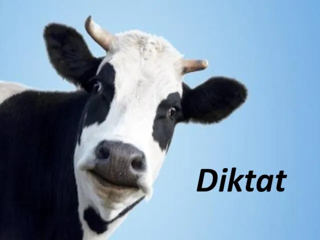 Diktat