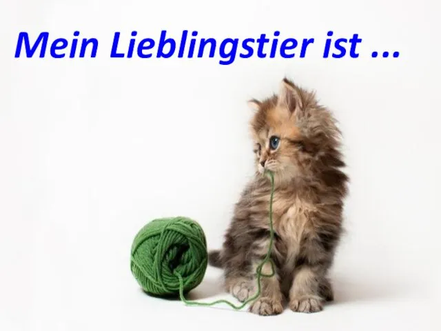 Mein Lieblingstier ist ...