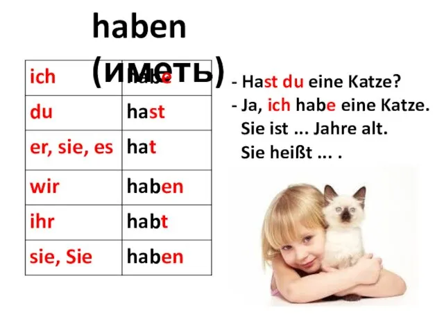 haben (иметь) Hast du eine Katze? Ja, ich habe eine