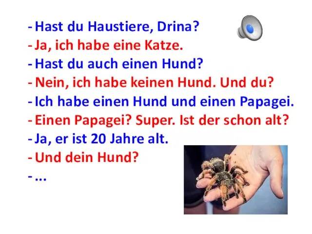 Hast du Haustiere, Drina? Ja, ich habe eine Katze. Hast