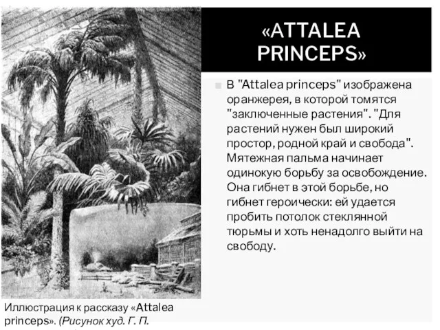 В "Attalea princeps" изображена оранжерея, в которой томятся "заключенные растения". "Для растений нужен