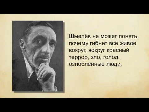 Шмелёв не может понять, почему гибнет всё живое вокруг, вокруг красный террор, зло, голод, озлобленные люди.