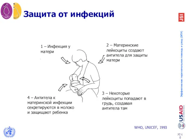 Защита от инфекций WHO, UNICEF, 1993 1 – Инфекция у