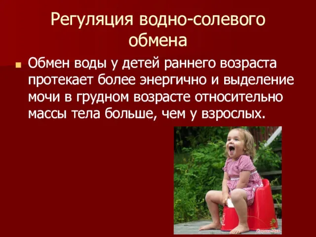 Регуляция водно-солевого обмена Обмен воды у детей раннего возраста протекает