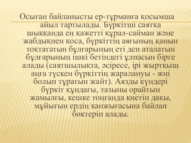 Осыған байланысты ер-тұрманға қосымша айыл тартылады. Бүркітші саятқа шыққанда ең