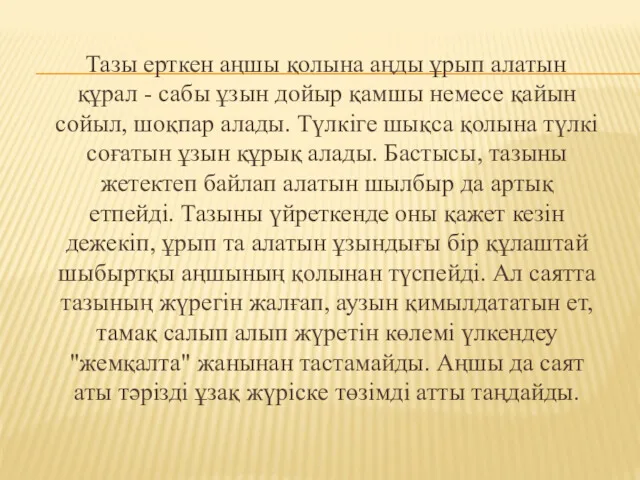 Тазы ерткен аңшы қолына аңды ұрып алатын құрал - сабы