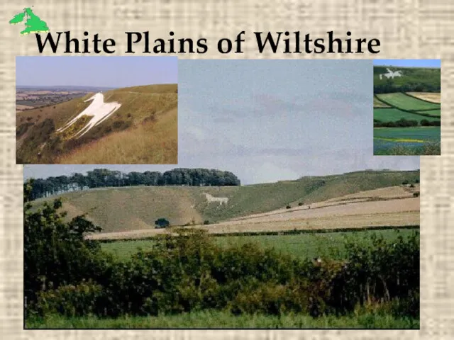 White Plains of Wiltshire