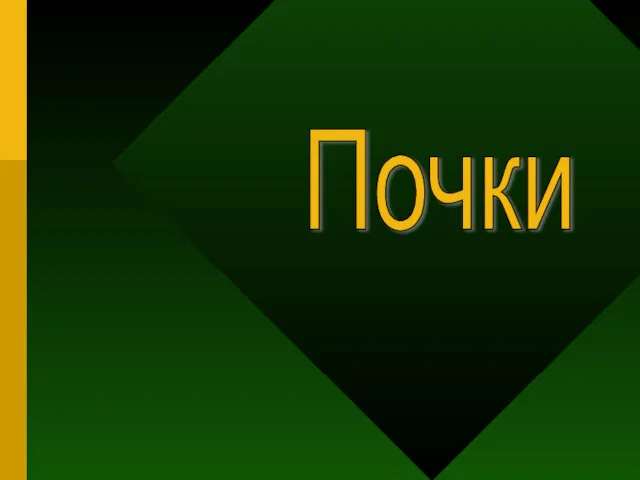 Почки