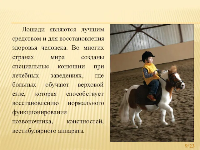 /23 Лошади являются лучшим средством и для восстановления здоровья человека.