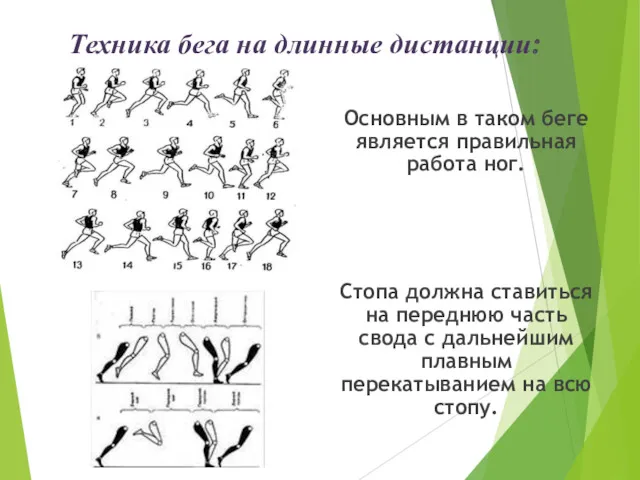 Техника бега на длинные дистанции: Основным в таком беге является