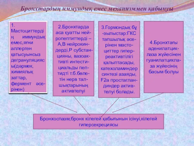 Бронхтардың иммундық емес механизммен қабынуы 1.Мастоциттердің иммундық емес,яғни аллерген қатысуынсыз