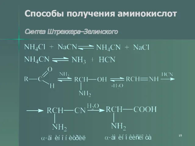 Способы получения аминокислот Синтез Штреккера–Зелинского