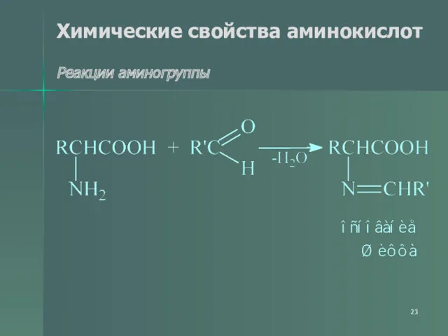 Химические свойства аминокислот Реакции аминогруппы