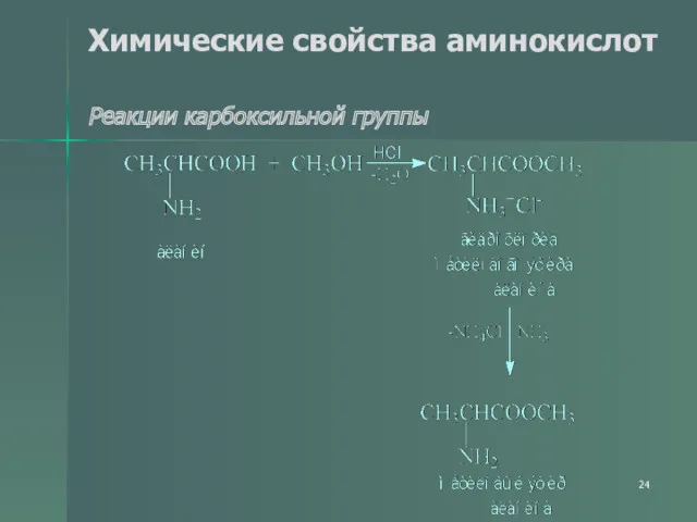 Химические свойства аминокислот Реакции карбоксильной группы