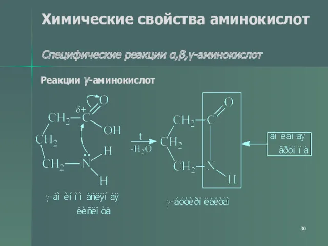 Химические свойства аминокислот Специфические реакции α,β,γ-аминокислот Реакции γ-аминокислот