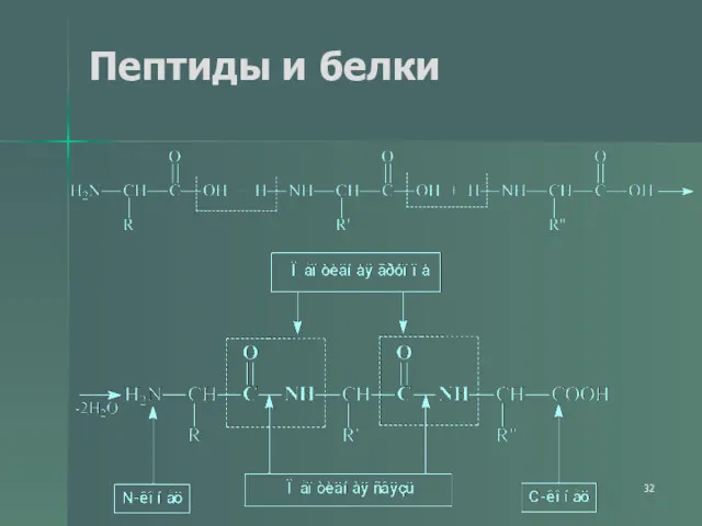 Пептиды и белки