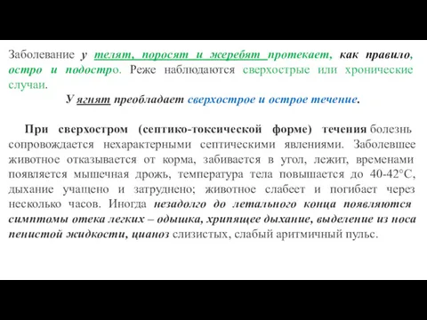 Заболевание у телят, поросят и жеребят протекает, как правило, остро