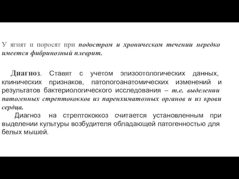 У ягнят и поросят при подостром и хроническом течении нередко