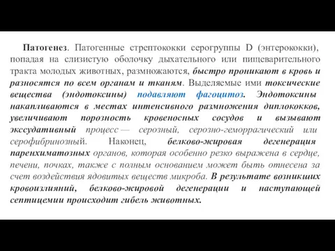 Патогенез. Патогенные стрептококки серогруппы D (энтерококки), попадая на слизистую оболочку