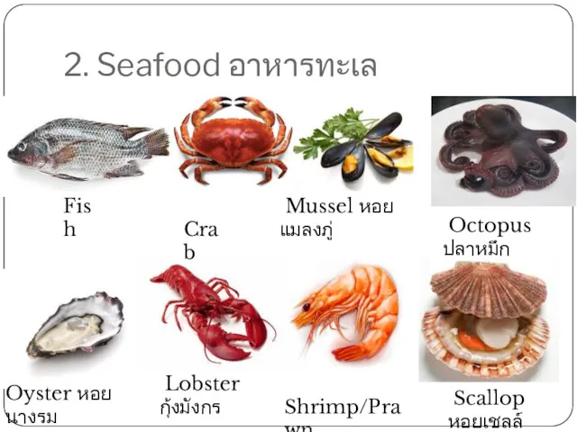 2. Seafood อาหารทะเล Oyster หอยนางรม Scallop หอยเชลล์ Shrimp/Prawn Lobster กุ้งมังกร Octopus ปลาหมึก Mussel หอยแมลงภู่ Crab Fish