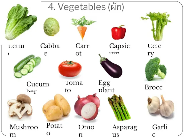 4. Vegetables (ผัก) Lettuce Cabbage Carrot Egg plant Tomato Cucumber Celery Capsicum Broccoli