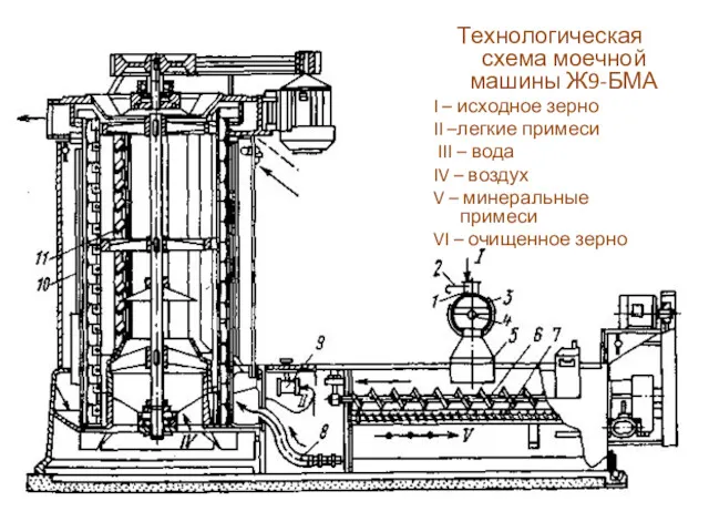 Технологическая схема моечной машины Ж9-БМА I – исходное зерно II