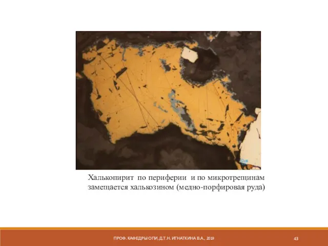 ПРОФ. КАФЕДРЫ ОПИ, Д.Т.Н. ИГНАТКИНА В.А., 2019 Халькопирит по периферии и по микротрещинам