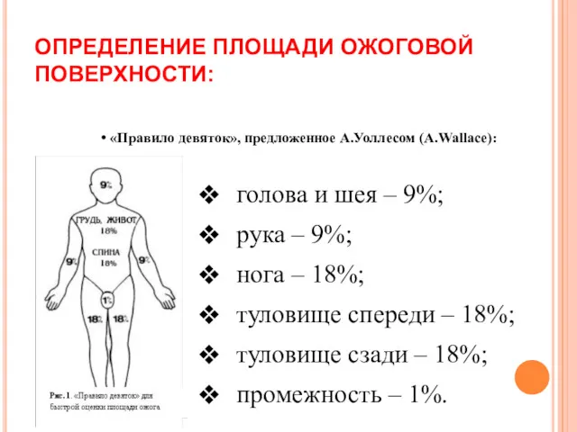 ОПРЕДЕЛЕНИЕ ПЛОЩАДИ ОЖОГОВОЙ ПОВЕРХНОСТИ: «Правило девяток», предложенное А.Уоллесом (А.Wallace): голова