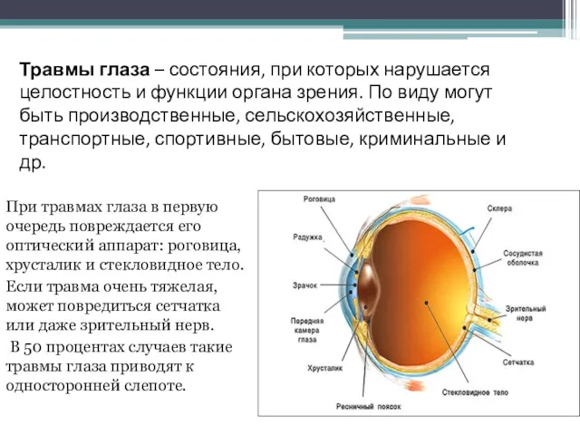 При травмах глаза в первую очередь повреждается его оптический аппарат: