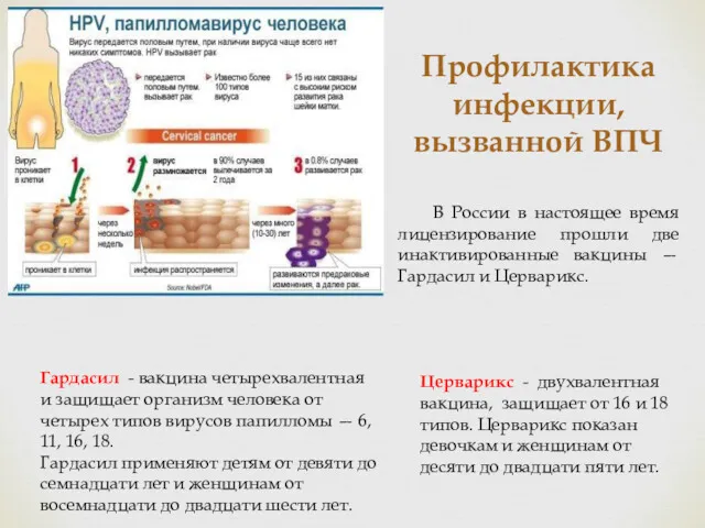 Профилактика инфекции, вызванной ВПЧ В России в настоящее время лицензирование прошли две инактивированные