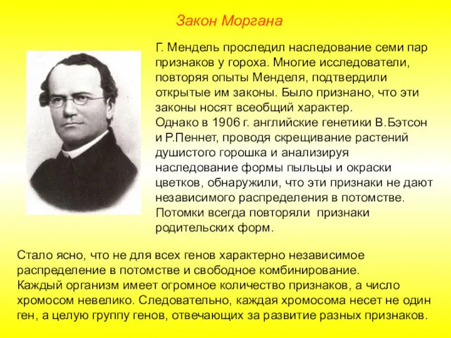 Закон Моргана Г. Мендель проследил наследование семи пар признаков у