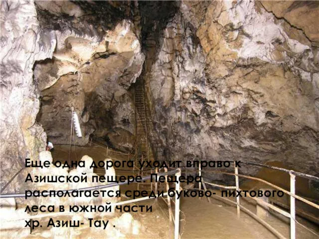 Еще одна дорога уходит вправо к Азишской пещере. Пещера располагается среди буково- пихтового