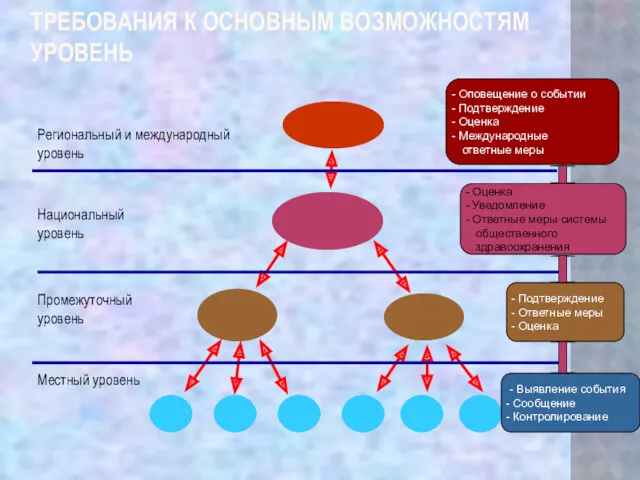 ТРЕБОВАНИЯ К ОСНОВНЫМ ВОЗМОЖНОСТЯМ УРОВЕНЬ Местный уровень Национальный уровень Промежуточный