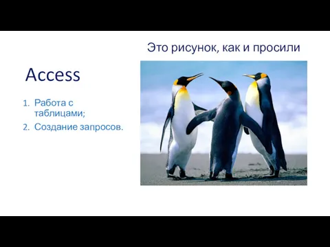 Access Работа с таблицами; Создание запросов. Это рисунок, как и просили