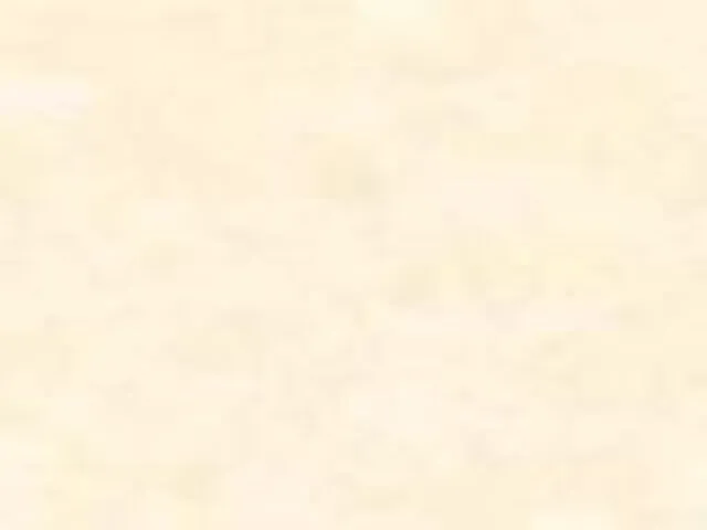 Насекомые Апполон обыкновенный Макромия сибирская Павлиний глаз Перламутровка реликтовая Шмель обыкновенный