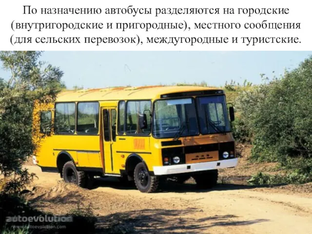 По назначению автобусы разделяются на городские (внутригородские и пригородные), местного сообщения (для сельских