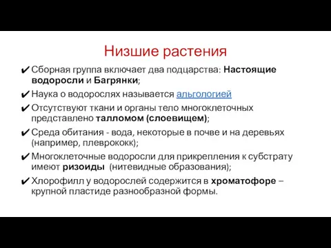 Низшие растения Сборная группа включает два подцарства: Настоящие водоросли и