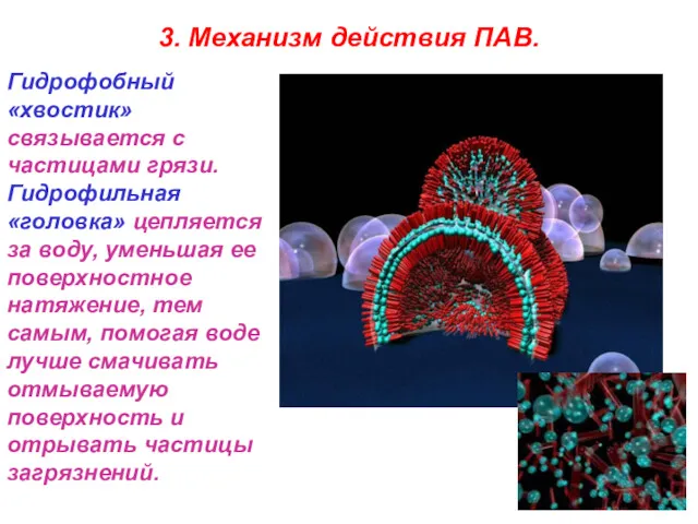 3. Механизм действия ПАВ. Гидрофобный «хвостик» связывается с частицами грязи.