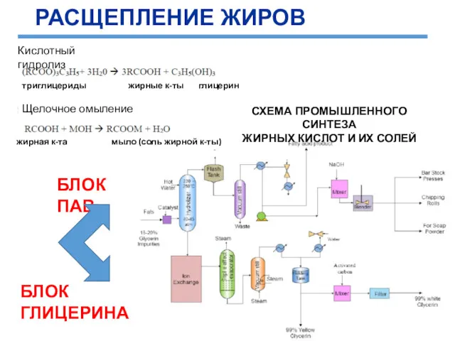 Кислотный гидролиз Щелочное омыление триглицериды жирные к-ты глицерин жирная к-та