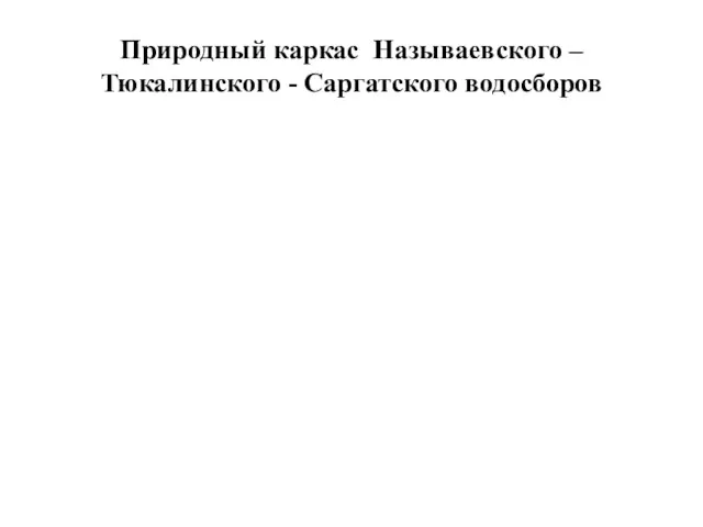 Природный каркас Называевского – Тюкалинского - Саргатского водосборов