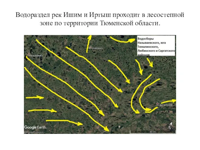 Водораздел рек Ишим и Иртыш проходит в лесостепной зоне по территории Тюменской области.