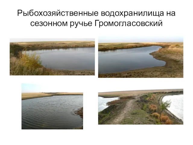 Рыбохозяйственные водохранилища на сезонном ручье Громогласовский