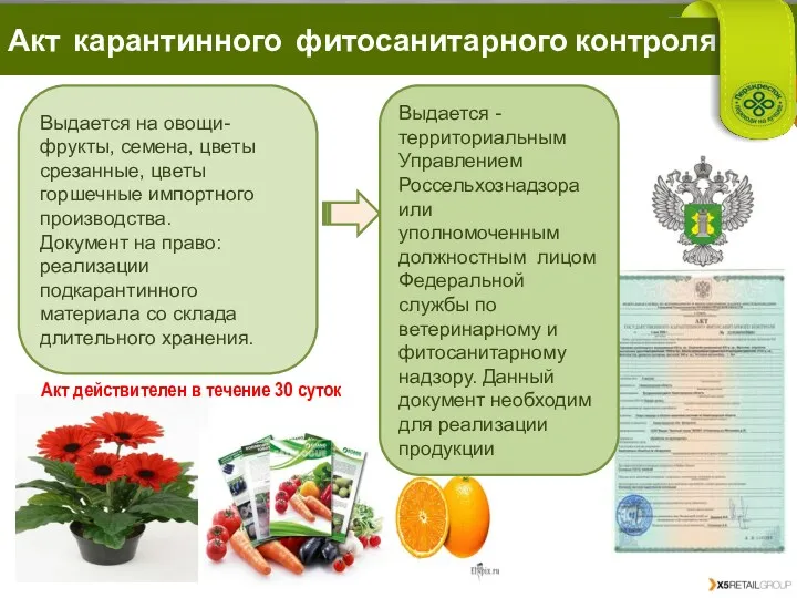 Выдается на овощи-фрукты, семена, цветы срезанные, цветы горшечные импортного производства.