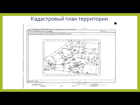 Кадастровый план территории