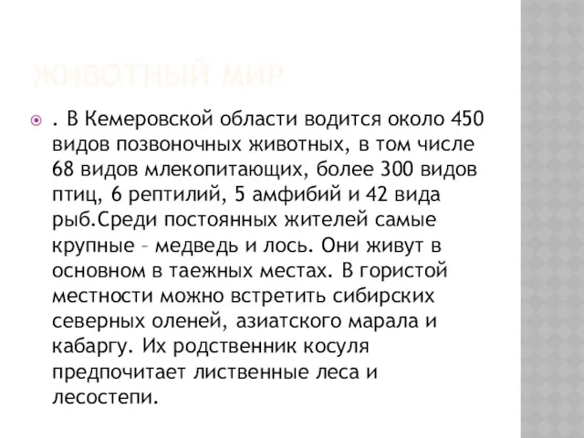 ЖИВОТНЫЙ МИР . В Кемеровской области водится около 450 видов