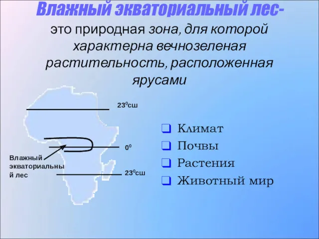 Влажный экваториальный лес- это природная зона, для которой характерна вечнозеленая