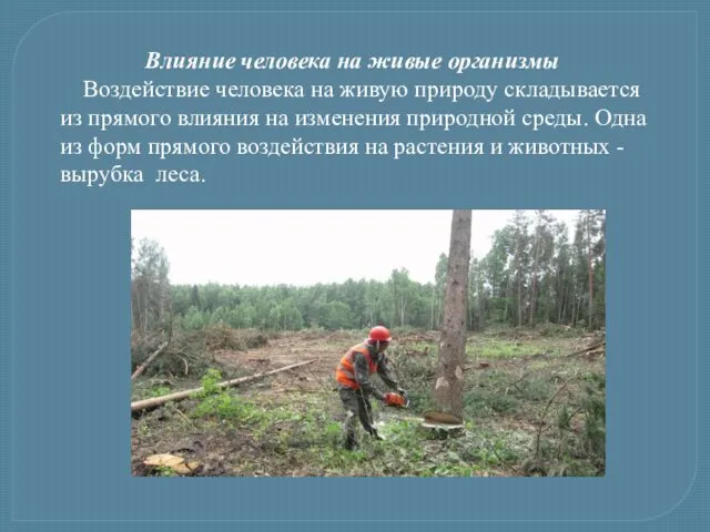 Влияние человека на живые организмы Воздействие человека на живую природу