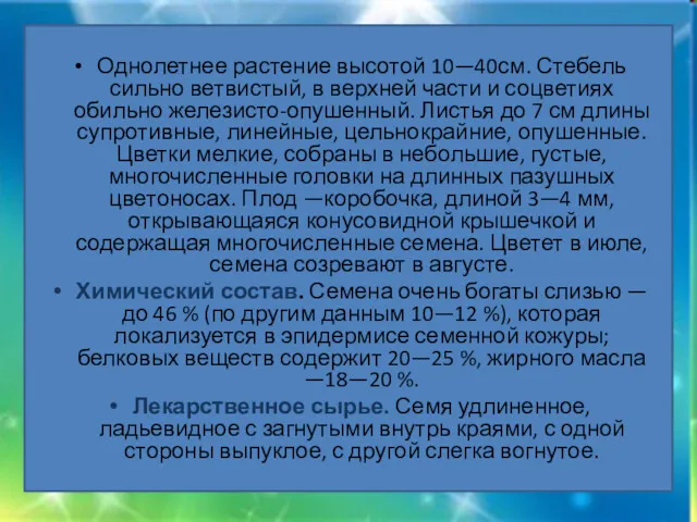 Однолетнее растение высотой 10—40см. Стебель сильно ветвистый, в верхней части