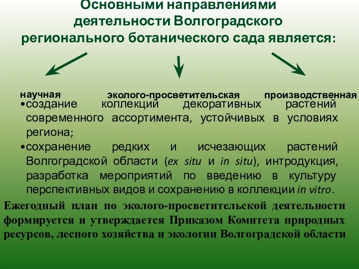 Основными направлениями деятельности Волгоградского регионального ботанического сада является: научная создание