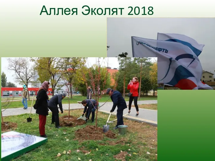 Аллея Эколят 2018